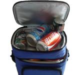 Two Compartment Insulated Picnic Bag PEVA PVC Cotton Food Container