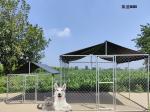 2x2x1.98m Dog Backyard Kennel Chain Link Galvanized Dog Cage