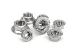 Ss316 Stainless Steel Flange Nut Zinc Plated Shank Bolt HDG