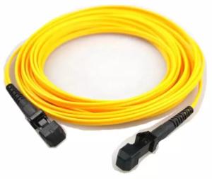 Wholesale Single Mode Fiber Patch Cord MTRJ To MTRJ 2mm Length from china suppliers