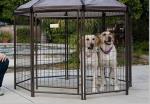 Professional Grade Modular Dog Kennels , Outside Dog Kennels For Large Dogs