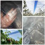 Transparent Agricultural Polyethylene Tarp With Strong Tear Strength 150N/50mm