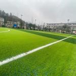 40mm Green Artificial Turf Grass Pet Friendly Customizable