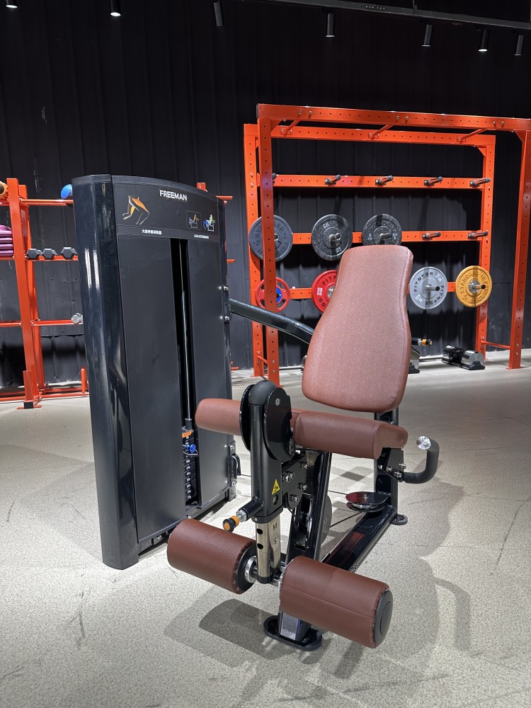 Custom Commercial Leg Exercise Equipment Pin Loaded And Plate Loaded Fitness