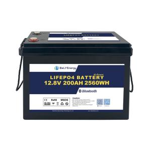 Wholesale Smart BMS Powerful Long Cycle Life Lithium Ion Batteries 12V 200Ah For Energy Storage from china suppliers
