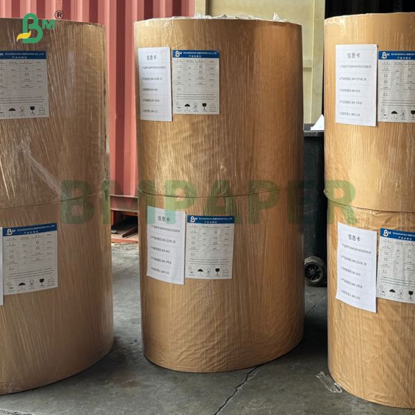 240gsm + 20gsm Biodegradable PLA Coated Cup Base paper in roll