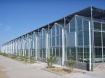 Galvanized Steel Horticultural Glass Greenhouse Waterproof Good Anti Corrosive