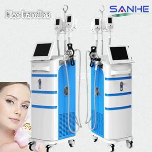 Wholesale Vertical Cryolipolysis Machine Frozen Fat Dissolving Instrument from china suppliers