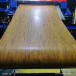 Color Coated Prepainted Matt PPGI Steel Coil Roofing Galvanized Stainless Steel