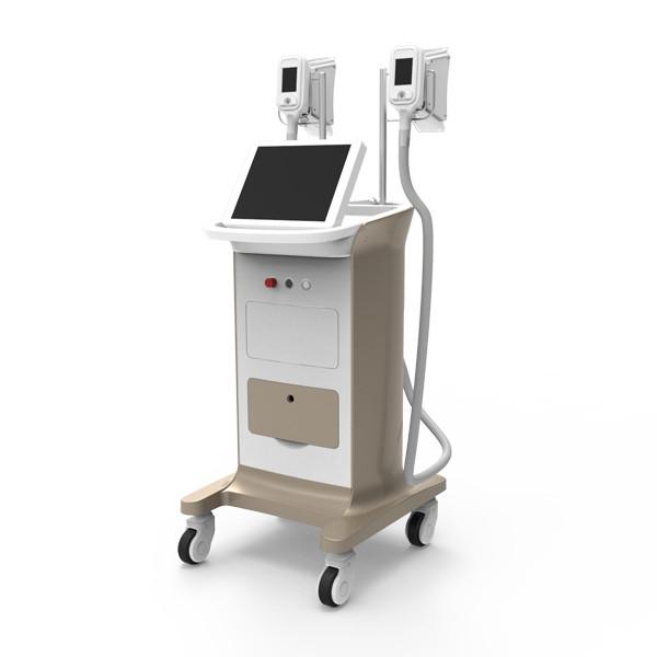 Non surgical body sculpting freeze off belly fat cryolipolysis machine price by
