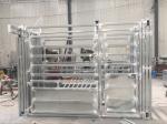 Professional Hot DIP Galvanized Cattle Crush with Weighing Scale