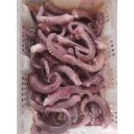 For Thailand Fish Market A Grade IQF Frozen Indian Squid Tentacles Cut Wholes