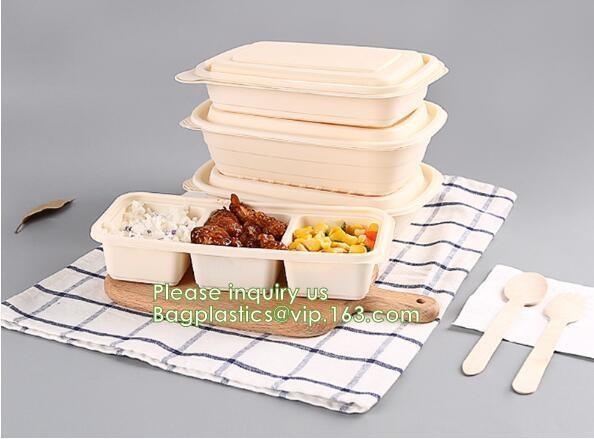 Takeout Takeaway Good Eco Sugarcane 800ml Lunch Box Clamshell Disposable