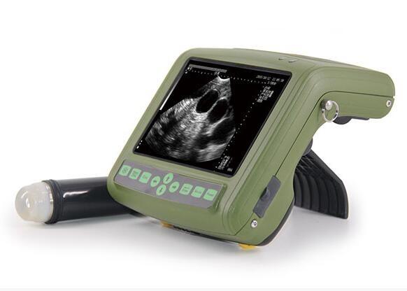 LCD Screen Veterinary Ultrasound Scanner For Bovine Equine Ovine Canine Feline