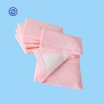 Pet Training 120-250ml Absorbent Puppy Housebreaking Potty Training Pad