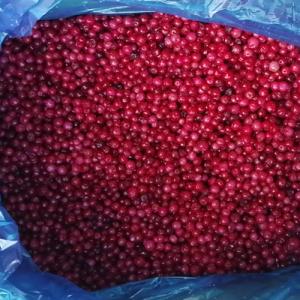 Wholesale KOSHER 100% Natural 1st Class Dark Red IQF Lingonberry from china suppliers