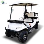 Powertrain Electric Off Road EV Golf Cart Lithium Ion Battery 2-4 Passenger