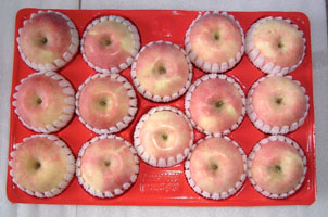 Avocado Paper Pulp Fruit Tray Liner Stone Fruit Colorful Paper Tray Supplier