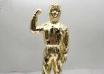 Disease Resistance Hero zinc alloy 250mm Height Custom Trophy Awards