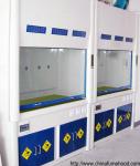 Practical Rustproof Fume Hood Cupboard , Anti Corrosion Laboratory Exhaust Hood
