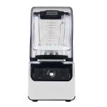 Stainless Steel Blade 2L Industrial Smoothie Blender for Heavy Duty Commercial