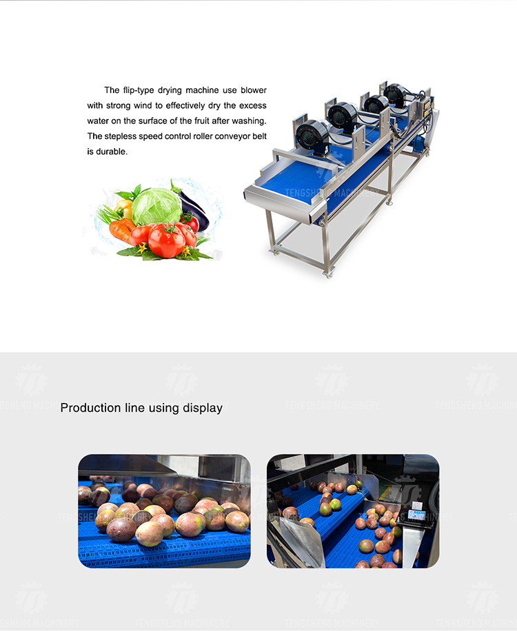 Automatic Dewatering Dehydrator Vegetable Mesh Conveyor Belt Drying Machine