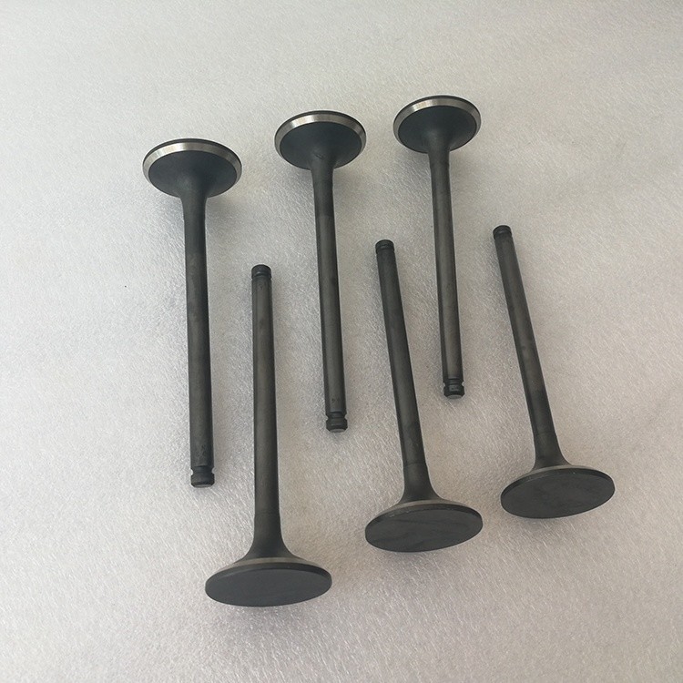 Swirl Polished Diesel Engine Valves LD20 13201-V07000 Car Spare Parts