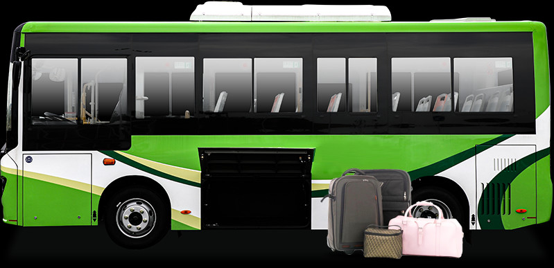Energy Saving Pure Electric Bus TEG6661BEV01 Intelligent Management Bus