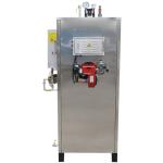Automatic Diesel Steam Boiler Stainless Steel 304 Oil Fired Residential Boilers