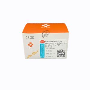 Wholesale Nucleic Acid Taq Pcr Kit Edwardsiella Piscicida Septicaemia Virus DNA Test from china suppliers