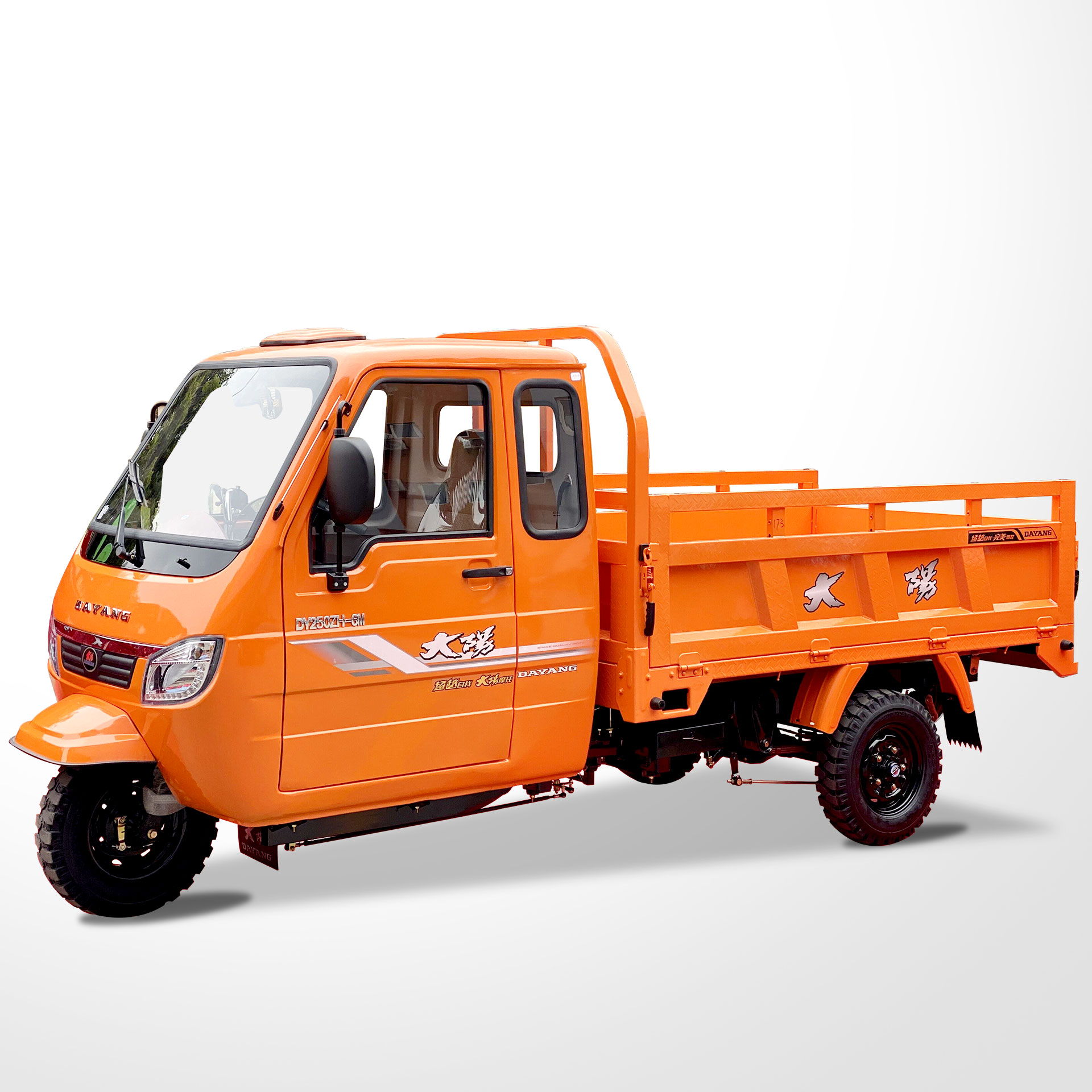 Dayang Tricycle 200cc/250cc/300cc Motorcycle with 5.00-12 Tyre and 1000kg Loading Capacity