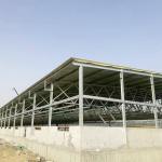 low cost Prefabricated Steel Structure Cow Shed Farm goat house steel structure