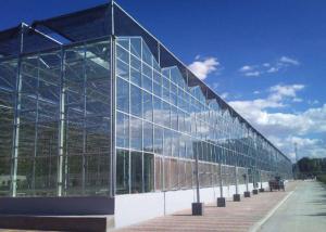 Wholesale Commercial PC Sheet Greenhouse For Vegetables Seeds Vertical Farming from china suppliers
