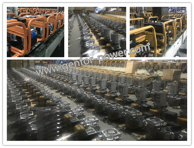 2.5KW Double Bearing 2-Poles High Output Alternator Selft-Exciting