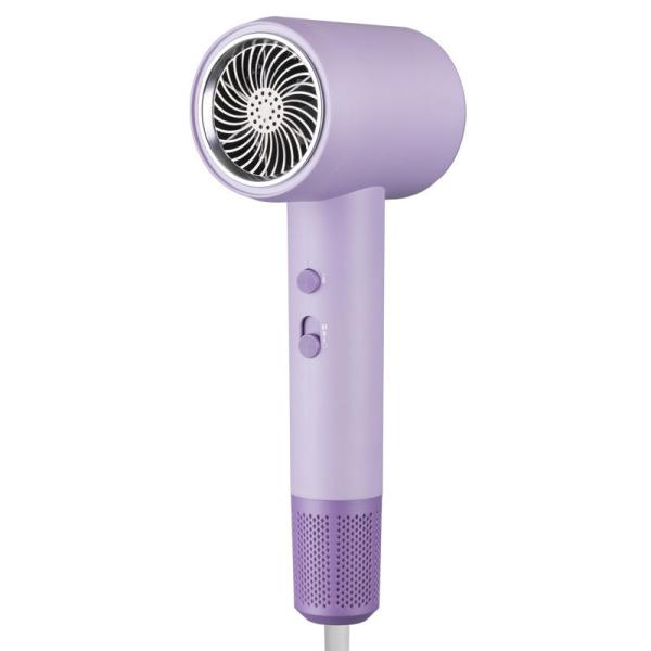 2000W Fast Drying Low Noise Quiet Negative Ion Blue Light Professional Hair