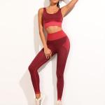 Seamless Tolerance 2cm Women Sportswear Sets Exercise Gym Clothes