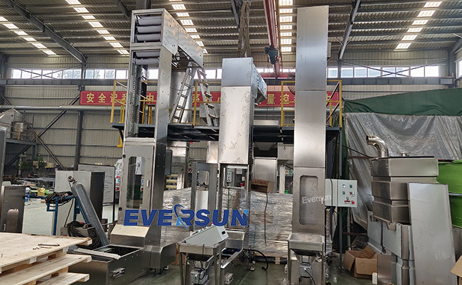 Food Grade Material Conveying System Z Bucket Elevator For Peanut And Melon Seed