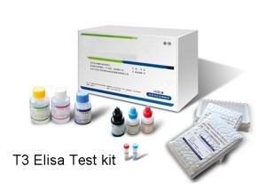 Wholesale TriiodothyronineT3 Elisa Kit Test Goat - Anti - Mouse Antibody Coated Microtiter Wells from china suppliers