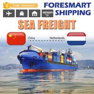 Wholesale China To Netherlands Container Freight Forwarder , FCL LCL Container Shipping from china suppliers