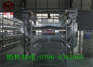 Wholesale Commercial Automatic Egg Collection System / Durable Egg Collector Machine from china suppliers