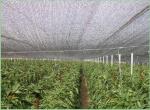 Agriculture Greenhouse Shade Netting