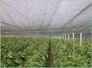 Wholesale Hdpe Raschel Knitted Sun Shade Netting For Greenhouse , Horticulture from china suppliers