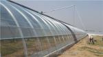 150/200 Micro Film Covered Solar Greenhouse For Yield Cucumber Farming