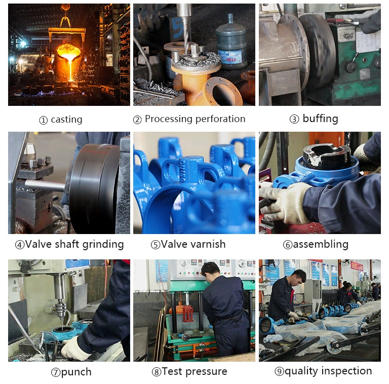 Gas Media Lug Concentric Butterfly Valve with Customizable Port Size and Soft Seal