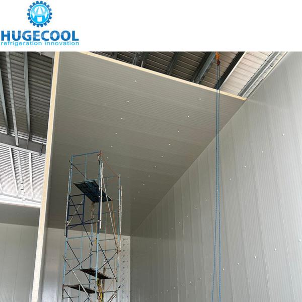 Quality Water Cooling Beef Slaughter Plant Factories With Stainless Steel Panel Blast Freezer for sale