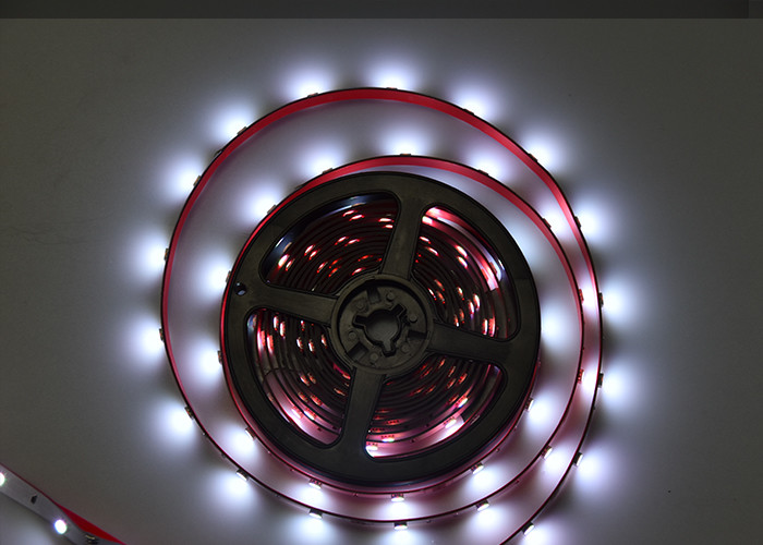 White Pbc 90Ra 20lm/Led Programmable Led Strip Light