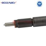 0 445 110 069 0 986 435 158 A6110700887 0 445 110 069 Diesel Injector 0445110069
