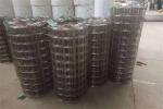 3/4''X3/4'' 304 0.8mm Stainless Steel Welded Wire Mesh