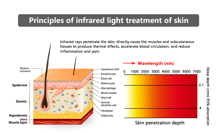 660nm 850nm Whole Body Infrared Light Therapy Devices 1500W Red Light Therapy