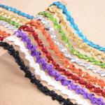 20KJ06 Sequin Braid Trim